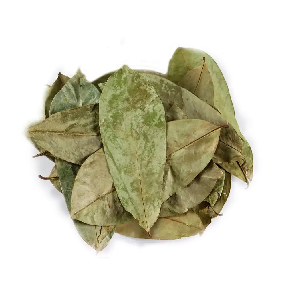 African Soursop Leaf (Graviola)