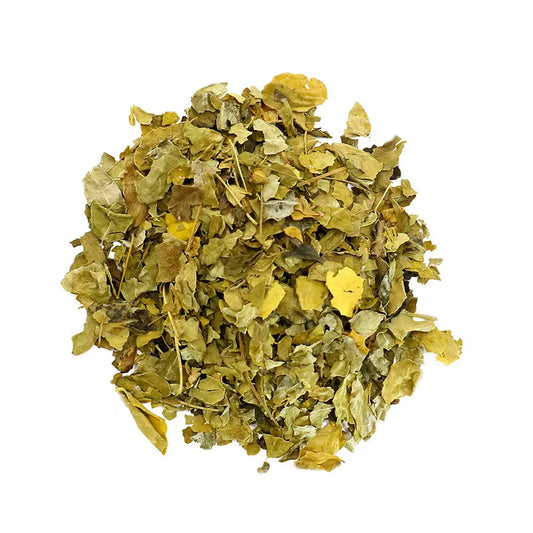 African Moringa TBE Herbs