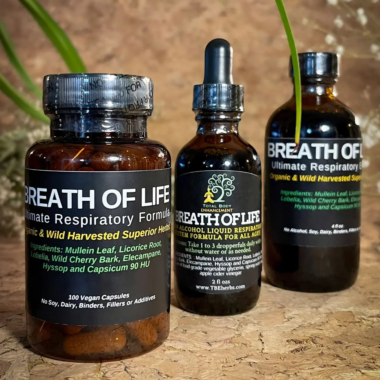 Total Body Enhancement Herbs, Breath of Life (Respiratory Formula) Extract