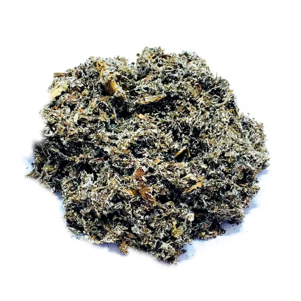 Burdock TBE Herbs