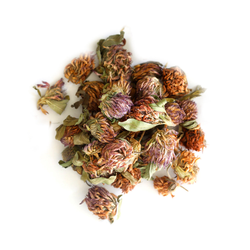 Red Clover Blossoms