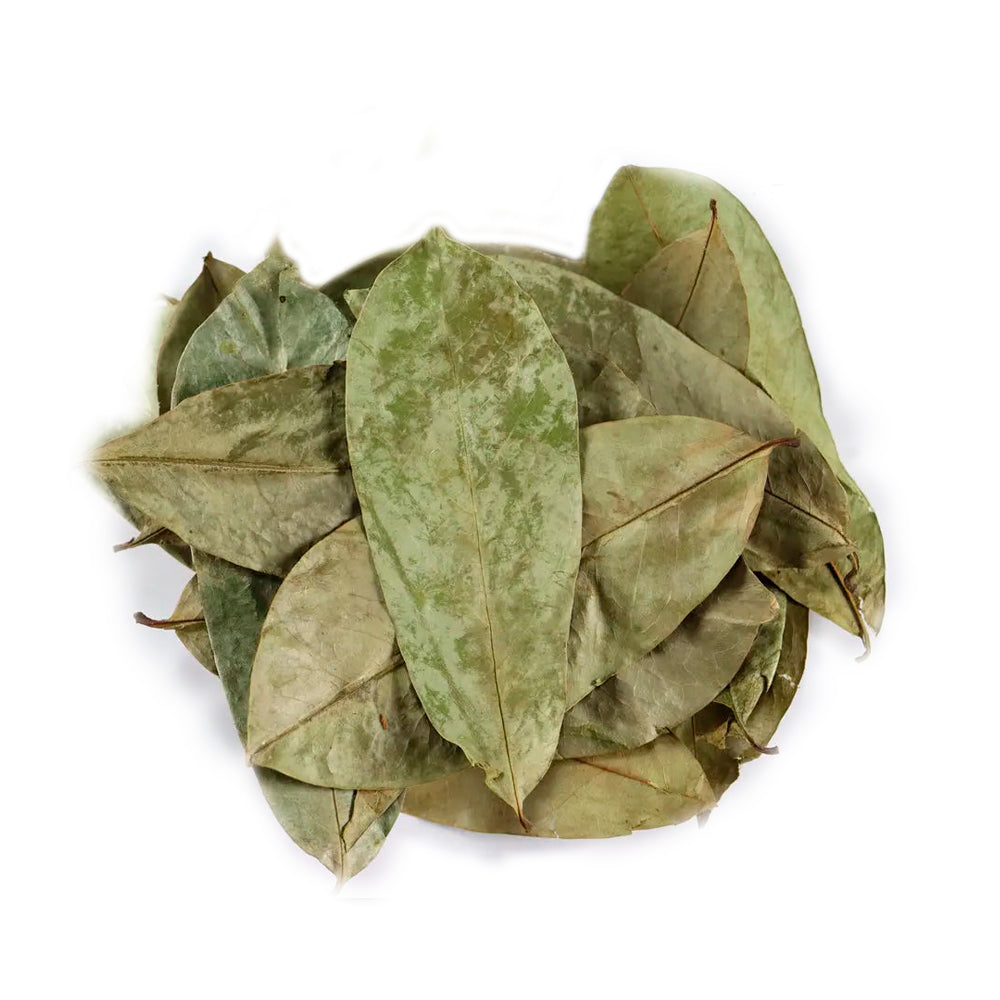 Graviola Leaf