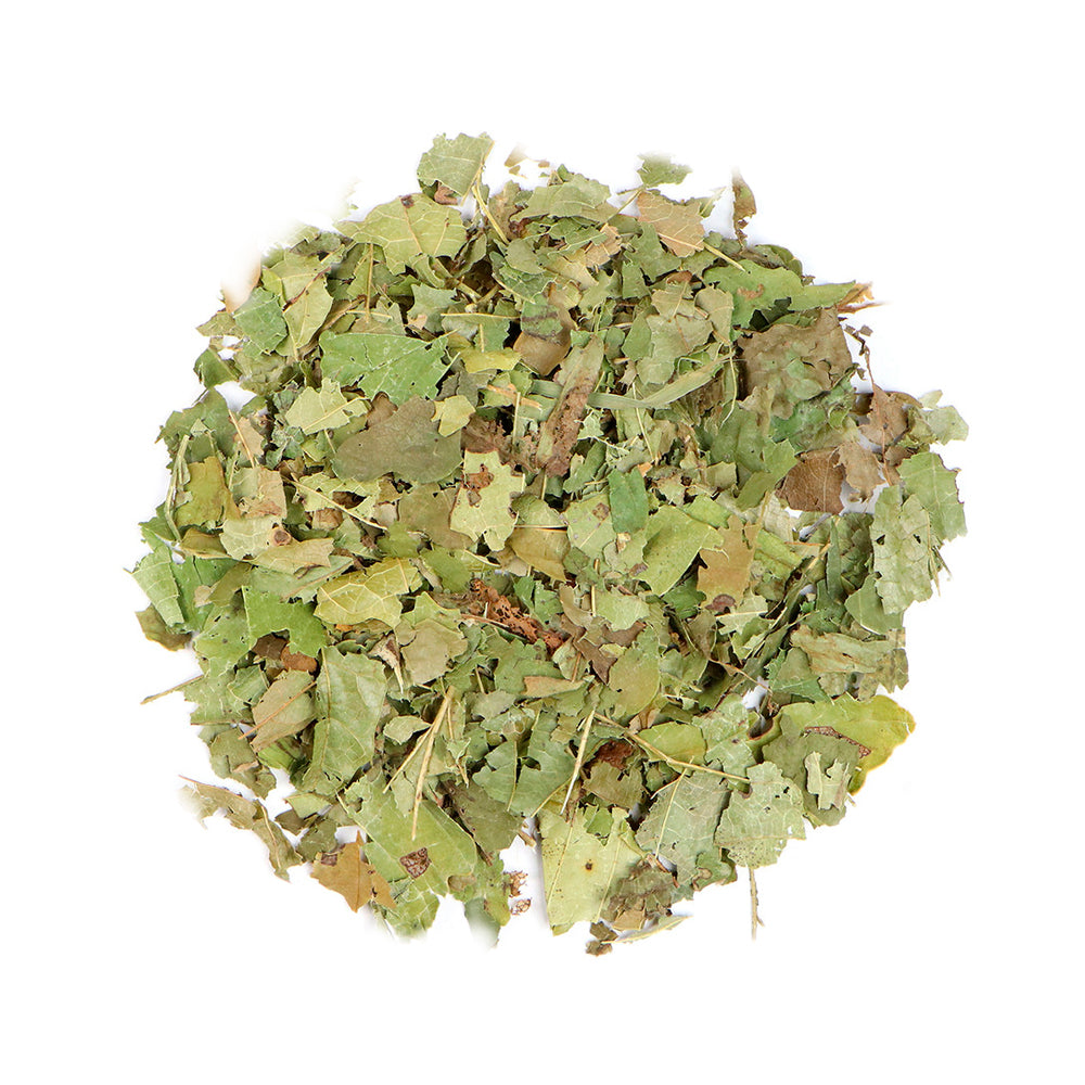 Witch Hazel