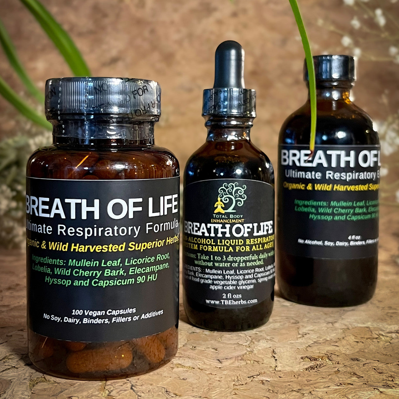 Total Body Enhancement Herbs, Breath of Life (Respiratory Formula) Extract