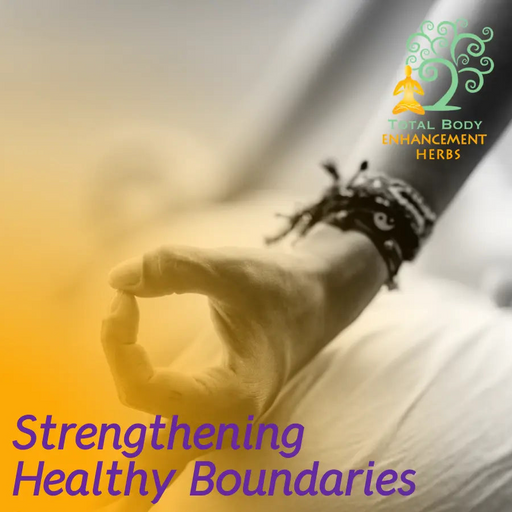 Guided Meditation | Strengthening Healthy Boundaries. Friday, June 13 @ 07:00pm