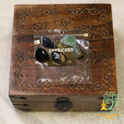 Capricorn Astrology Kit TBE Herbs