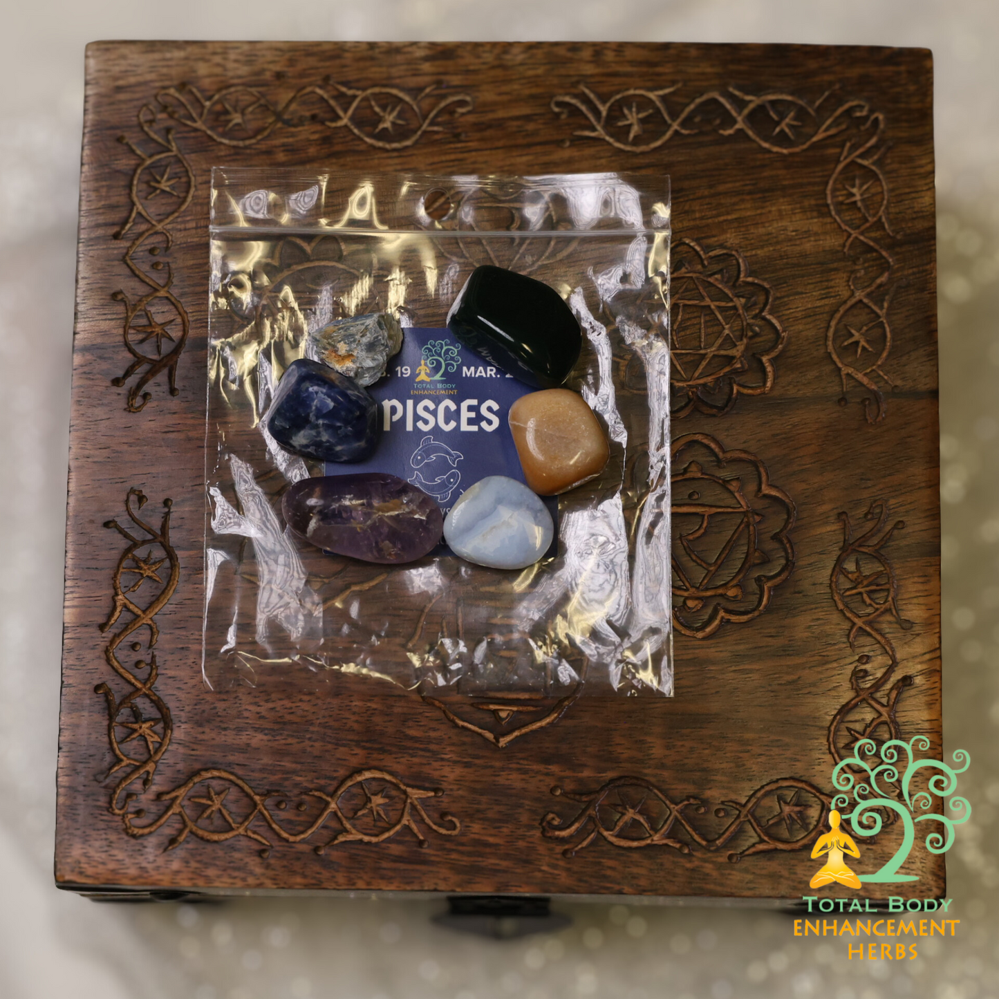 Pisces Astrology Kit