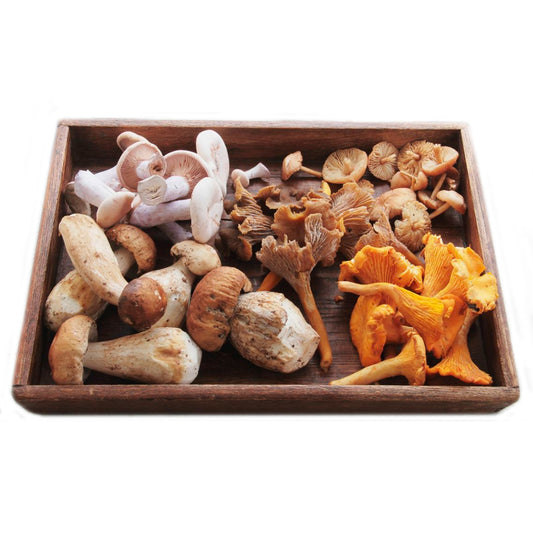 Seven Mushrooms