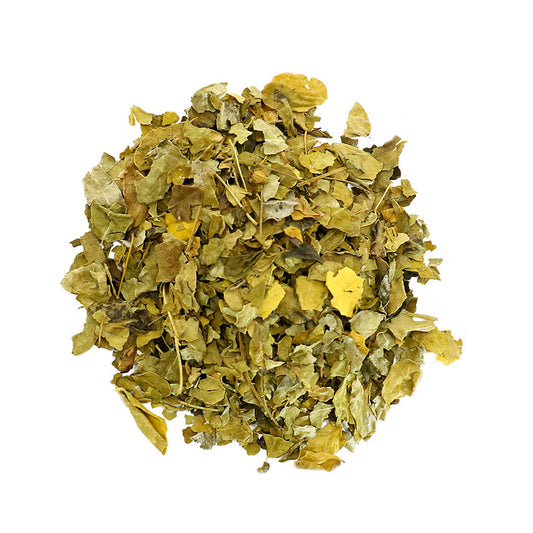 African Moringa