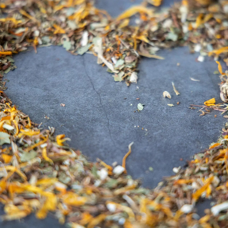 Total Body Enhancement Herbs - Anti Viral Yoni Steam