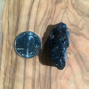 TBE Herbs Total Body Enhancement Herbs - Black Tourmaline - Coin Piece