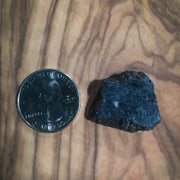 TBE Herbs Total Body Enhancement Herbs - Black Tourmaline - Coin Piece