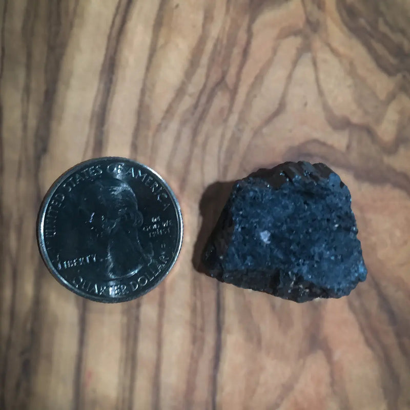 TBE Herbs Total Body Enhancement Herbs - Black Tourmaline - Coin Piece