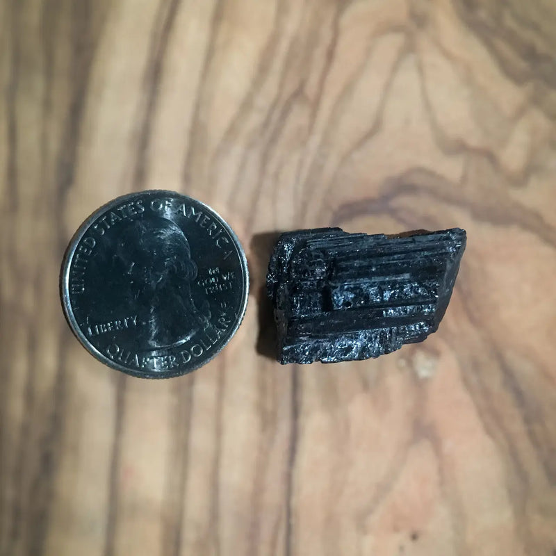 Total Body Enhancement Herbs - Black Tourmaline Piece - Coin Piece