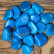 TBE Herbs Total Body Enhancement Herbs - Blue Howlite Piece