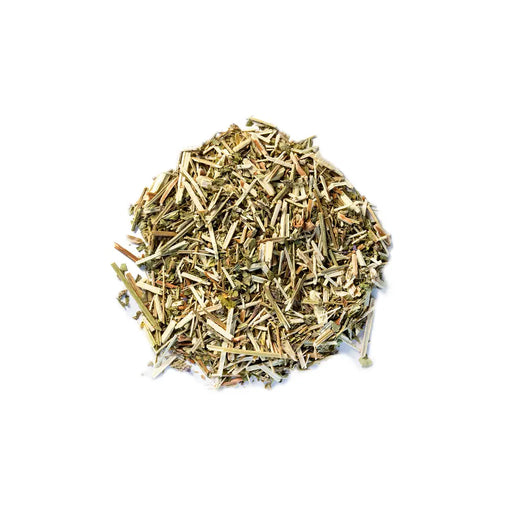 Blue Vervain TBE Herbs