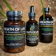 Total Body Enhancement Herbs, Breath of Life (Respiratory Formula) Extract 
