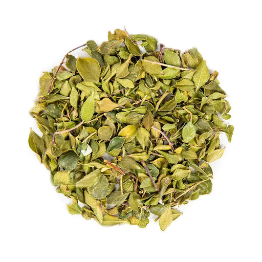 Buchu Leaves TBE Herbs