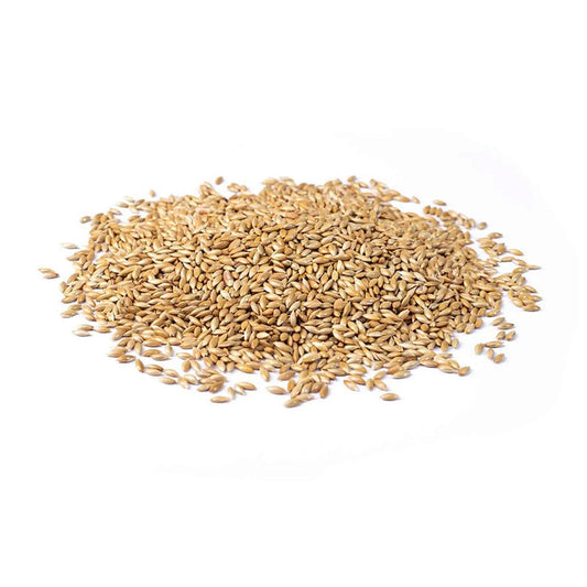 Canary Seed