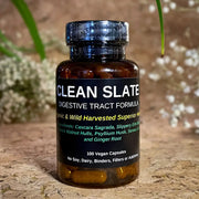 TBE Herbs  Total Body Enhancement Herbs Clean Slate - Intestinal Cleaning Formula - 100 Vegan Capsules 