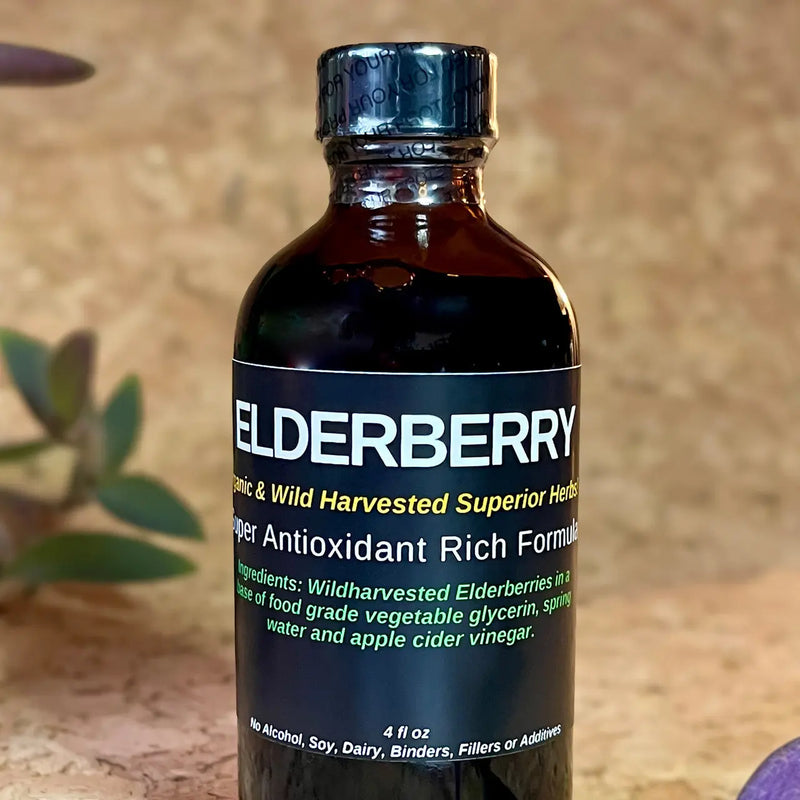 TBE Herbs Total Body Enhancement Herbs - Elderberry Extract - 4 oz