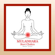 TBE Herbs Total Body Enhancement Herbs - Muladhara (Root) 1st Chakra Kit Box