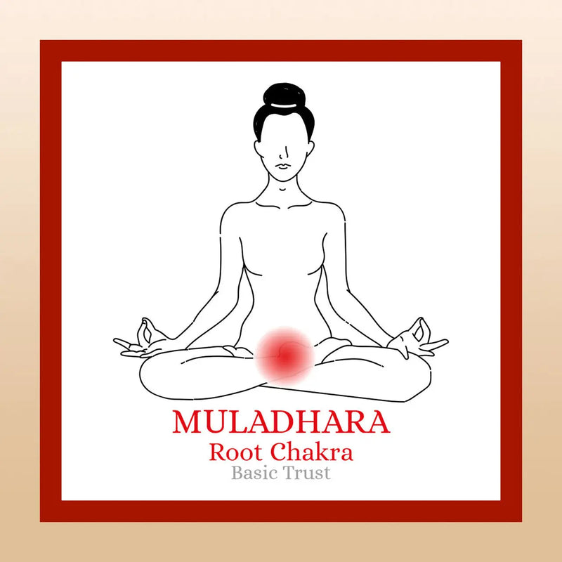 TBE Herbs Total Body Enhancement Herbs - Muladhara (Root) 1st Chakra Kit Box