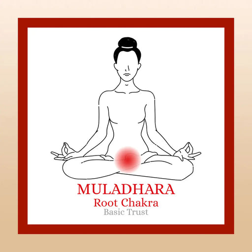 TBE Herbs Total Body Enhancement Herbs - Muladhara (Root) 1st Chakra Kit Box