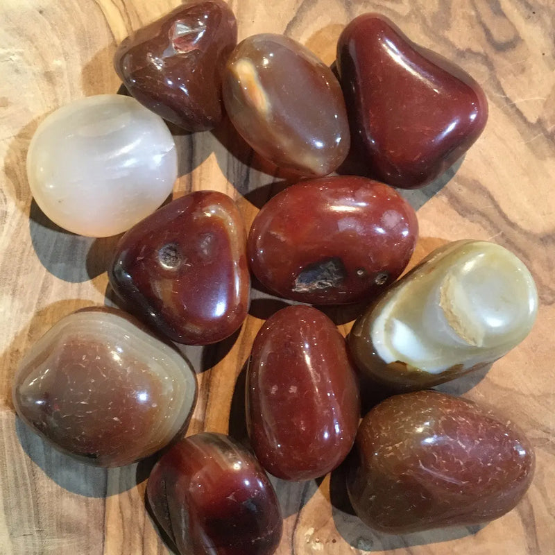 TBE Herbs Total Body Enhancement Herbs - Natural Agate - Extra Large