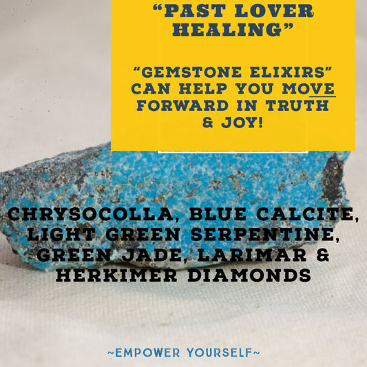 TBE Herbs Past Lover Healing  Gemstone Elixir