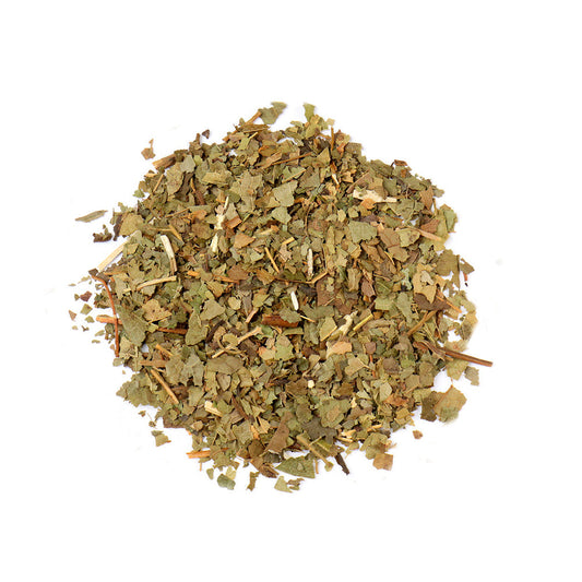 Sassafras Leaf