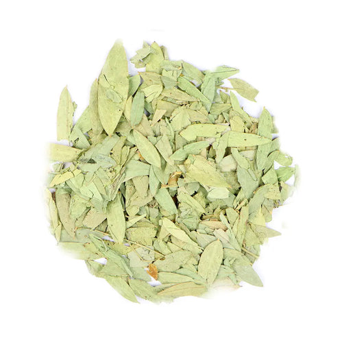 Senna Leaf