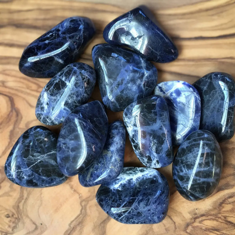 TBE Herbs Total Body Enhancement Herbs - Sodalite Piece