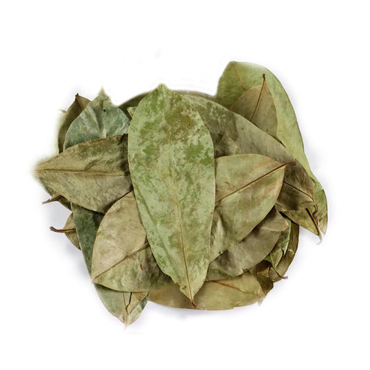 Soursop Graviola Leaf