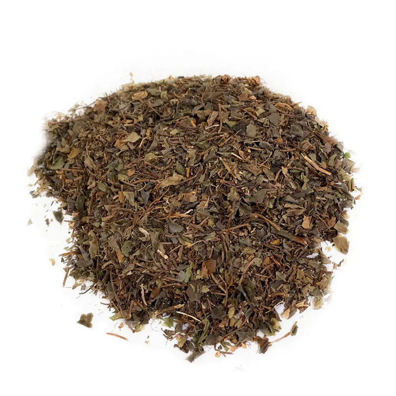 Squawvine Botanical Herb