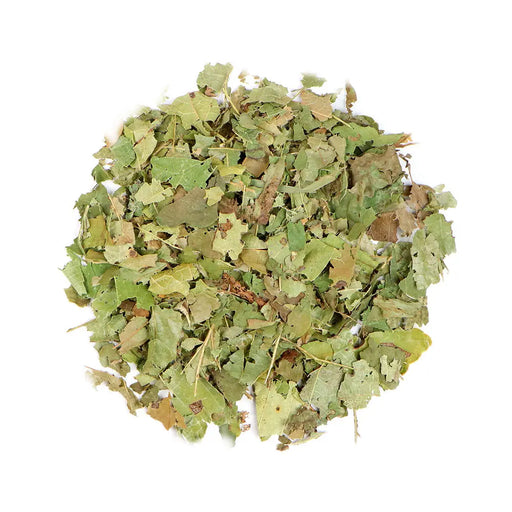 Dried Witch Hazel leaves, known for their soothing properties and used in natural skincare products.