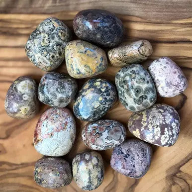 Leopard Skin Jasper Piece TBE Herbs