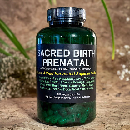 TBE Herbs Total Body Enhancement Herbs - Sacred Birth Prenatal Formula - 255 Vegan Capsules