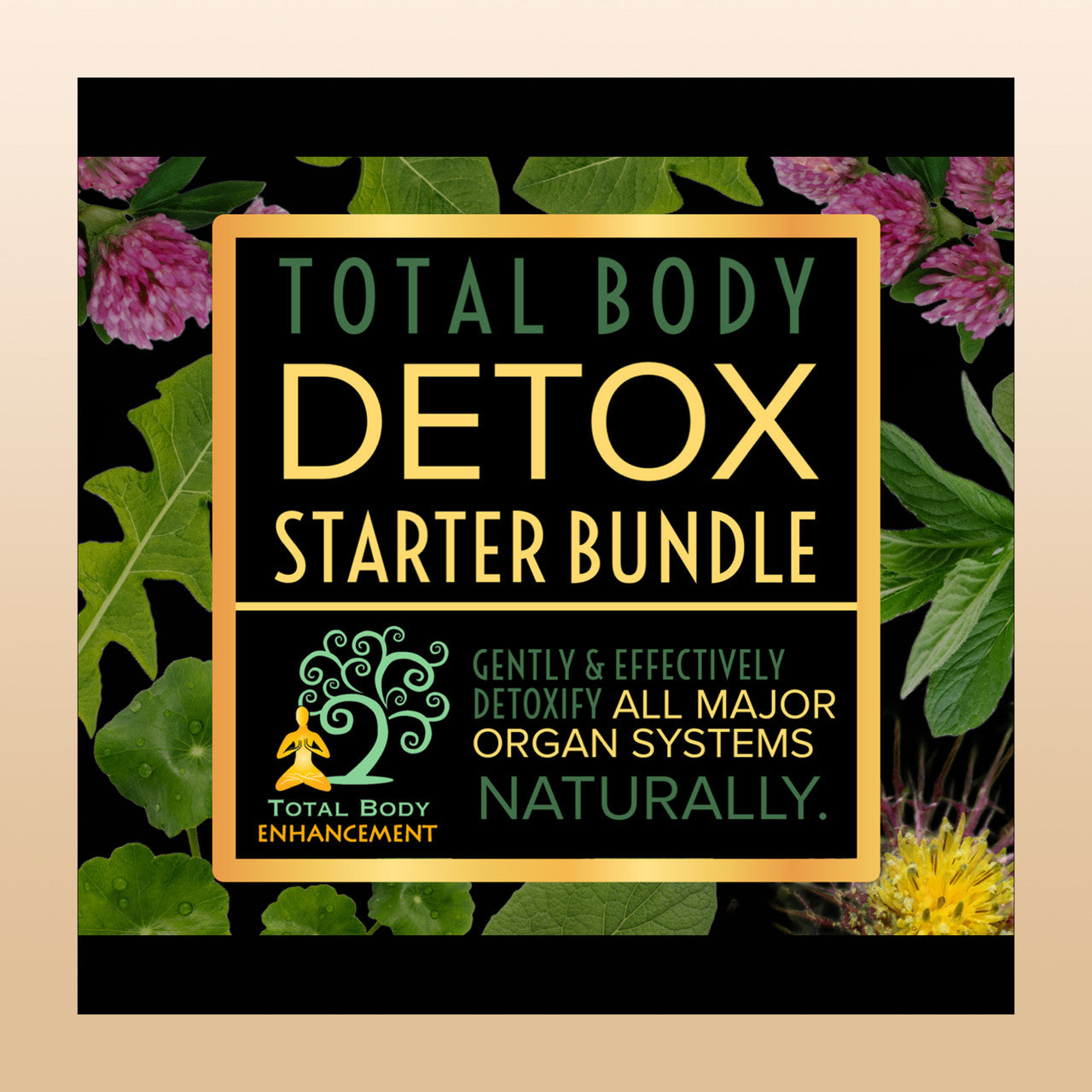 TBE Herbs Total Body Enhancement Herbs - 3 Week TBE Herbs Detox Cleanse - Total Body Detox Starter Bundle